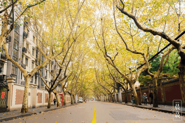 微信图片_20191214194848.gif